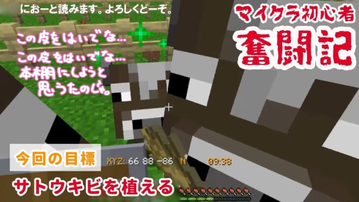【Minecraft】エンチャントへの道 #12