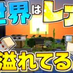 【Minecraft】【レアハンター #14】あなたはコレ見たことある？ マイクラの世界は珍しいものでいっぱいだった！！【マイクラ】【ゆっくり実況】