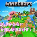 【Minecraft：マインクラフト】初めての家づくりやでぇ～！！