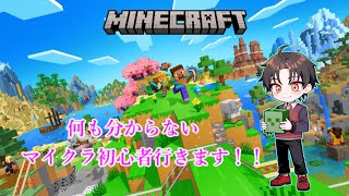 【Minecraft：マインクラフト】初めての家づくりやでぇ～！！