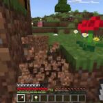 家作る初見さん来てくれたら嬉しいです![マインクラフト/Minecraft]