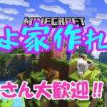 【マインクラフト】家をはよ作らんかい‼【Minecraft】【マイクラ】