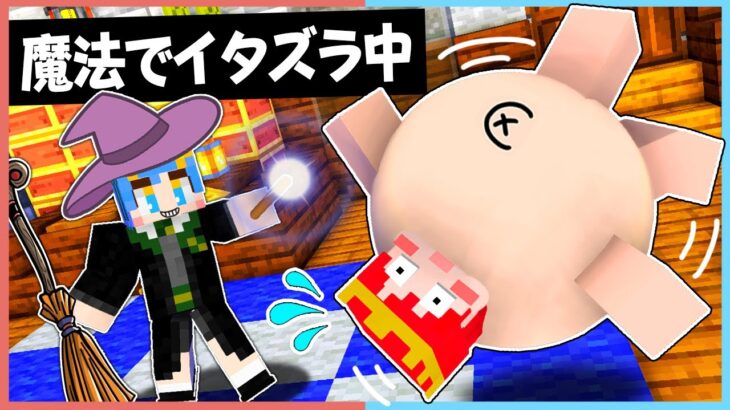 【マイクラ】魔法でいたずらしてみたら大惨事にｗｗ🪄💥【マイクラ / マインクラフト / Minecraft】