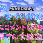 【マインクラフト】ようやく家づくりをするぞ【Minecraft】【マイクラ】