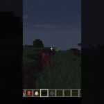Minecraft Batman Mod