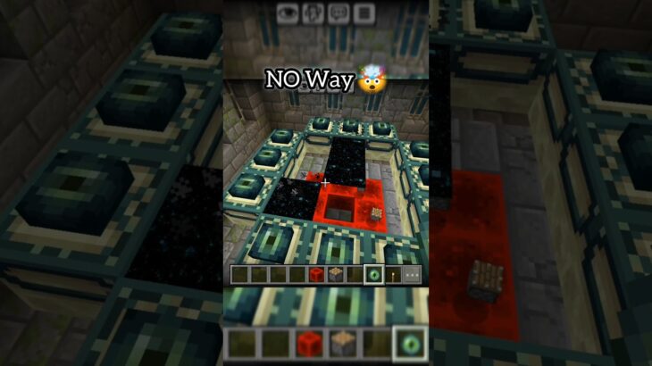 Minecraft End portel moment 🤯 Minecraft no mods (Notch)