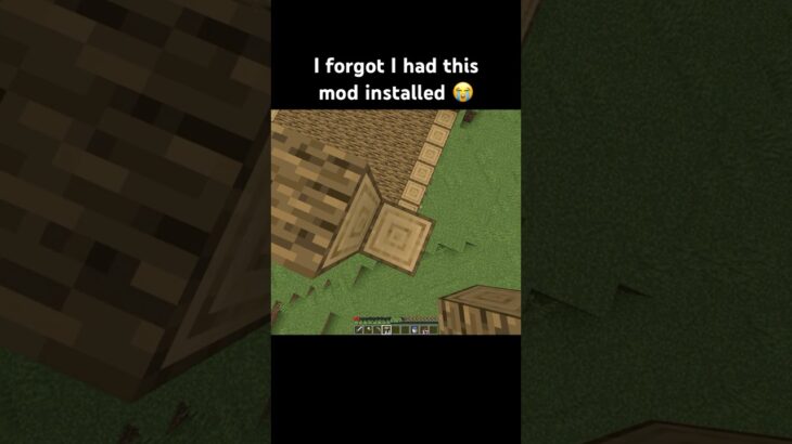 Minecraft Mod Moment