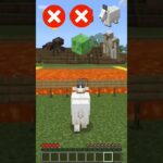 Minecraft Mods vs Magma 🌋 #minecraft #shorts #meme