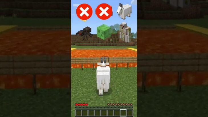 Minecraft Mods vs Magma 🌋 #minecraft #shorts #meme