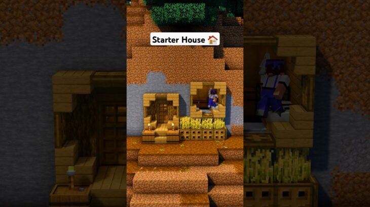 Minecraft Starter Mountain House 🏠 #minecraft