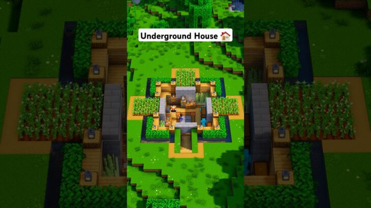 Minecraft Survival Underground House 🏠 #minecraft