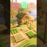 【Minecraft】村人の畑改築してみた！ #minecraft #マインクラフト #マイクラ #shorts  #ショート動画 #マイクラ建築