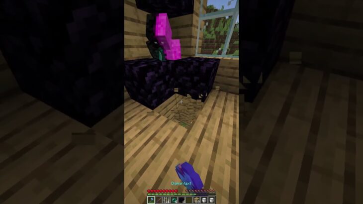 Minecraft with Daquavis