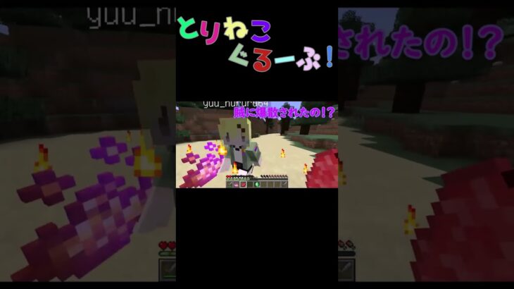 【Minecraft】魔法で爆散される友達が2人いました。 #minecraft