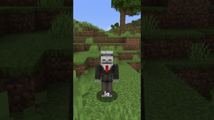 Mini Mod Reviews – REPO Heads #REPOHeads  #minecraft #mod #java