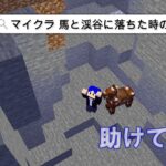 １５【マイクラ魔法Mod】マイクラ 馬と一緒に崖に落ちた時の対処法 教えて