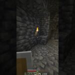 No hay que perder la semblanza #minecraft #minecraftshorts #humorviral #humor #bromas #troll #mods