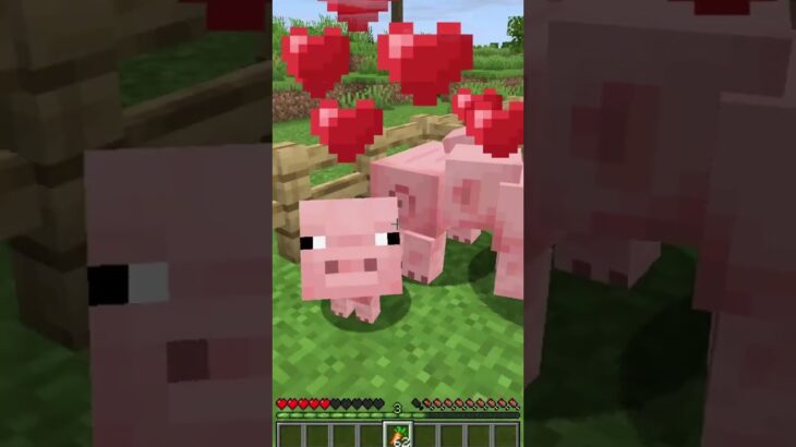 PIGGY LOVE 🐽💓💥#minecraft #rtxtekstur #gaming #memes #lavapiggy