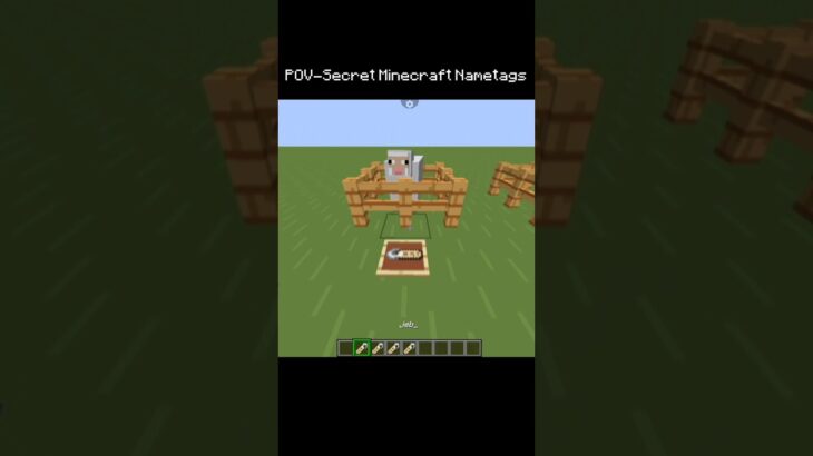 POV- Minecraft Secret Nametags |#shorts #viral #trending #viralshort #minecraft