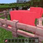 【マイクラ】Part15無事に家に帰るぞー！②