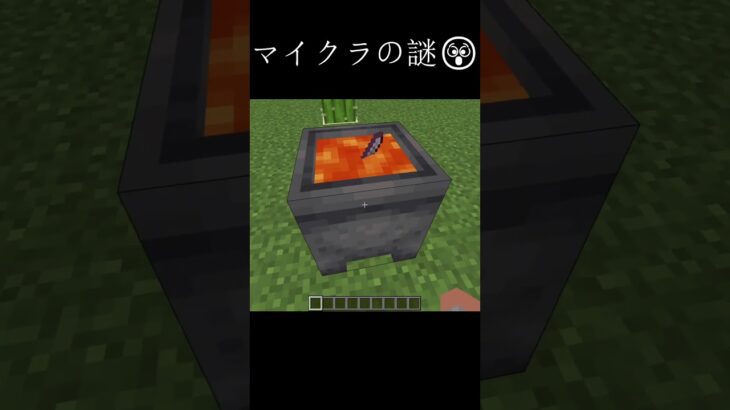 マイクラの謎　Part5 #マイクラ #minecraft #バズれ #shorts