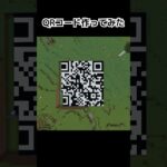 マイクラで作ったQRコードは読み込める? #minecraft #マインクラフト #マイクラ #shorts #マイクラ #マインクラフト