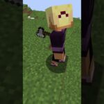 Remorphed Mod! #shorts #minecraft #mod #Blockflash