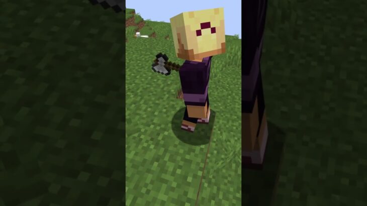Remorphed Mod! #shorts #minecraft #mod #Blockflash