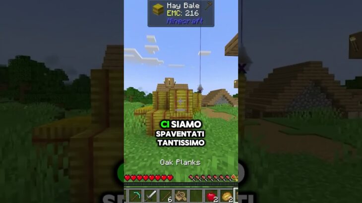 SBRISER su MINECRAFT HORROR….