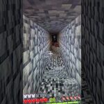Scariest mod in Minecraft? #minecraft #cavedweller #terrifying #scary #scaryminecraft