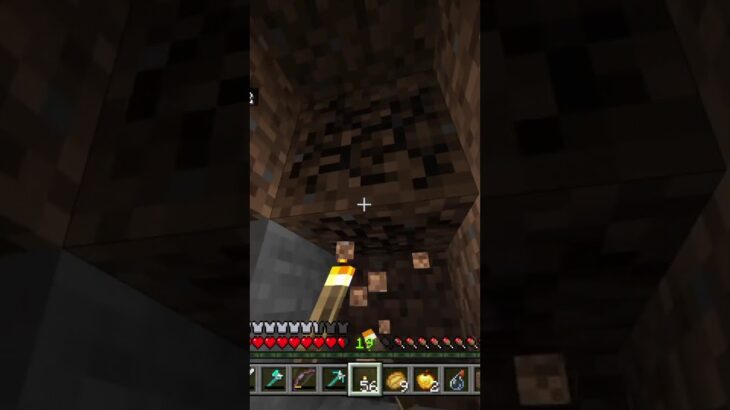 Se me escucha con eco? #minecraft #mods #shrek #meme