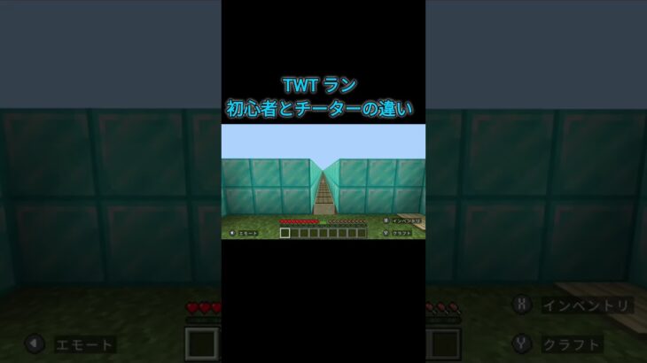 TWTラン初心者とチーターの違い　#マイクラ #shorts