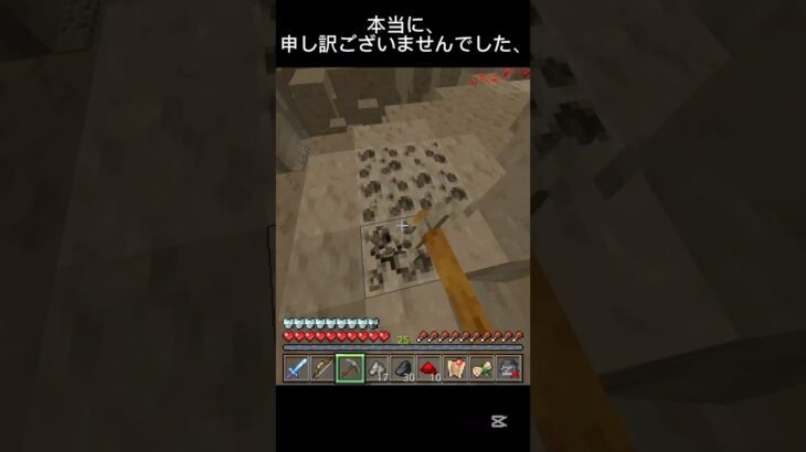 本当にすみません、#マンクラフトTheムービー #マイクラ #謝罪