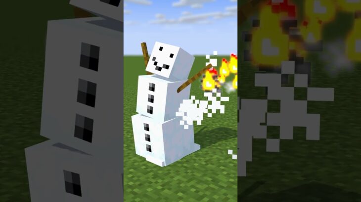 【マイクラアニメ】The Snow Golem need to help?スノーゴーレムに助けは必要？　 #Minecraft　#mineimator 　#shorts