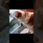 VR Minecraft horror core #minecraft #mod #vr #fypシ゚viral