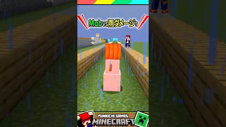マイクラのモブVS雨ダメージ！ #マイクラ #マインクラフト #Minecraft #まいくら #クイズ #ゲーム #Shorts