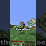 Villager Geography!! #minecraft #gaming #shorts #youtubeshorts #viralvideo #foryou #fyp