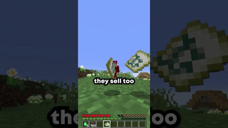 Villager Geography!! #minecraft #gaming #shorts #youtubeshorts #viralvideo #foryou #fyp