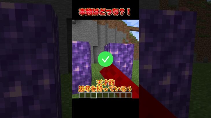 本物はどっちだ？！ Which one is the real one?!  #minecraft #マイクラ#shorts