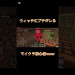 奇跡も、魔法も、あるんだよ☆ #マイクラ #anime #マインクラフト #ワンピース #ゲーム実況 #minecraft #アニメ #ポケカ