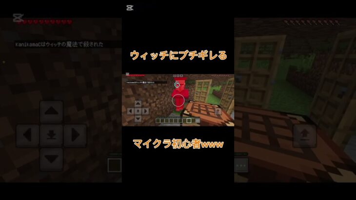 奇跡も、魔法も、あるんだよ☆ #マイクラ #anime #マインクラフト #ワンピース #ゲーム実況 #minecraft #アニメ #ポケカ