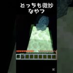 どっちも微妙なやつ#くっぴー #くっぴーch #マイクラ #マインクラフト #上手いと思ったら高評価 #まいくら