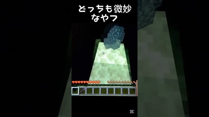 どっちも微妙なやつ#くっぴー #くっぴーch #マイクラ #マインクラフト #上手いと思ったら高評価 #まいくら