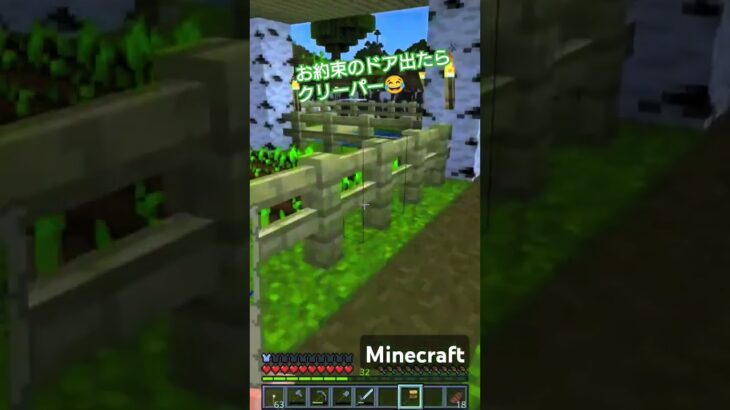 油断した時にヤツは現れるのです😳expected development #マイクラ　#マインクラフト #minecraft