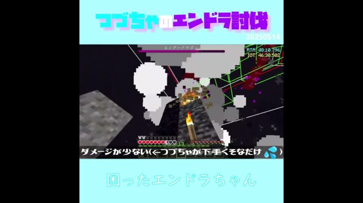 【マイクラ】困ったエンドラちゃん　 fromつづちゃのエンドラ討伐！2025/05/14　#Minecraft　#Shorts　#rta