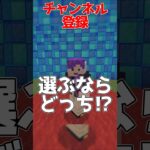 選ぶならどっち⁉️  #げーみんず #マイクラ #マインクラフト #ゲーム実況 #実況 #まいくら #ゲーム #game #minecraft #shorts