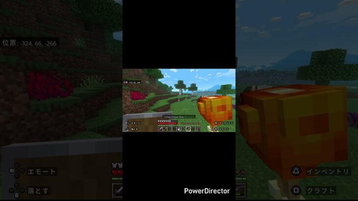 なんで木陰からでたんだろ #games #マイクラ #shorts
