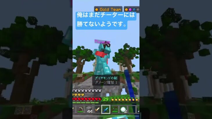 マイクラhiveチーター戦#マイクラ #マイクラhive#プロコン勢