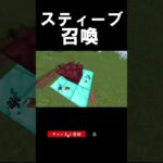 ※ネタです#マイクラ #マインクラフト #マイクラjava版 #minecraft #まいくら #へロブライン #ネタ