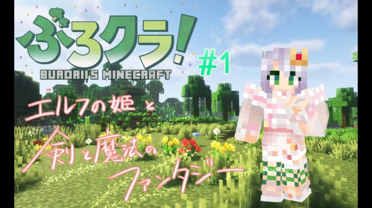 【 #maincraft 】#ぶろクラ ついに参戦！エルフの姫と、剣と魔法のファンタジー✨　#1【 #シアオフィ 】